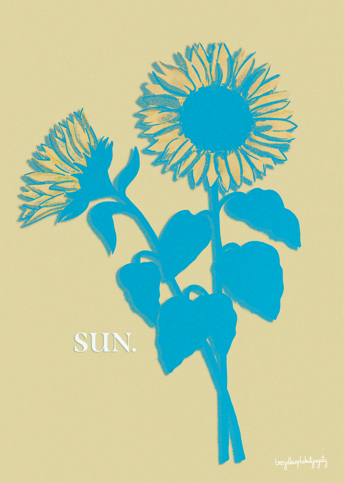 Plakat - Sun.